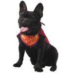 Party pro 872389, dguisement pour chien, super hros