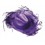 Party pro 87309304, chapeau cowboy caraibe violet
