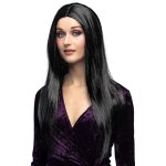 Perruque cheveux longs noirs