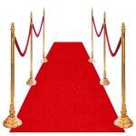 Petit tapis rouge jetable 4, 5 mtres