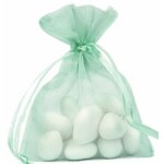 Sachet de 10 bourses organdi  lacet, menthe