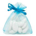 Sachet de 10 bourses organdi � lacet, turquoise