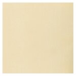 Sachet de 20 grandes serviettes airlaid 40 x 40cm, ivoire Sachet de 20 grandes serviettes airlaid 40 x 40cm, ivoire