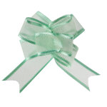 Sachet de 5 noeuds automatiques organdi, menthe