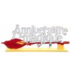 Petit dcor de table balai anniversaire magique 18x6, 5cm