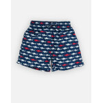 Sharky daddy boxer