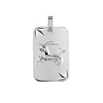 Pendentif en argent rhodi� plaque g. i diamant� �toil� zodiaque capricorne