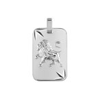 Pendentif en argent rhodi� plaque g. i diamant� �toil� zodiaque lion