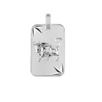 Pendentif en argent rhodi� plaque g. i diamant� �toil� zodiaque taureau