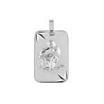 Pendentif en argent rhodi� plaque g. i diamant� �toil� zodiaque verseau