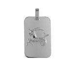 Pendentif en argent rhodi plaque g. i. rectangulaire arrondie zodiaque capricorne