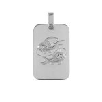 Pendentif en argent rhodi plaque g. i. rectangulaire arrondie zodiaque poissons