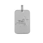 Pendentif en argent rhodi plaque g. i. rectangulaire arrondie zodiaque sagittaire