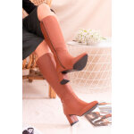 Bottes en cuir  talons