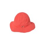 Chapeau past�que - absorba