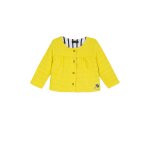 Gilet jaune