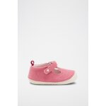Salomés fuchsia Salomés fuchsia