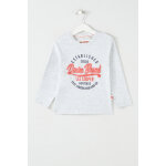 T - shirt gris