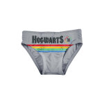 Slip de bain harry potter gris