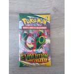 Booster pokemon evolution c�leste