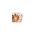 Gs + cats: golden retriever & new friends 3ds