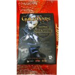 Guild wars ¿ special edition ¿ jeu pc ¿ vf incluse ¿ mmorpg culte avec bonus exclusifs ¿cl deja ...