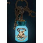 Harry potter porte - cl�s lumineux potion bottle