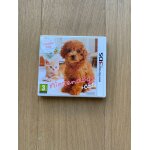 Jeu nintendogs + cats caniche toy et ses nouveaux amis, sur nintendo 3ds
