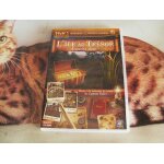 Objets cachés : l'île au trésor - l'insecte doré pc Objets cachés : l'île au trésor - l'insecte doré pc