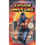 Shadow warriors (ninja gaiden) nes nintendo nes