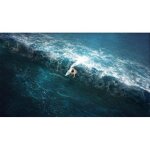 Surf world series ps4