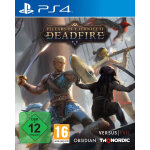 Thq pillars of eternity ii deadfire ps4 jeu vid o playstation 4 basique pillars of eternity ii deadfire ...