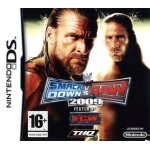 Wwe smackdown vs raw 2009 nintendo ds