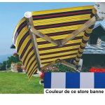 Store banne manuel 4x3m bleu et blanc