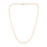 Collier en or et perle d'akoya (tpc)