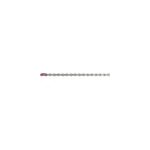 Chaine sram pc - x01 eagle 12v, silver