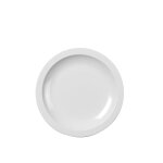 Assiette plate hamlet en plastique blanc rosti Assiette plate hamlet en plastique blanc rosti