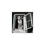 Cage de transport xxl pour chien - avec porte pour voyage voiture animaux