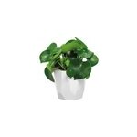 Jardini�re carr� pot de fleur blanc 14, 5x14x12, 9cm