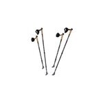 Lot de 2 btons de marche nordique gris