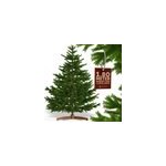 Sapin de no�l artificiel premium xl 180x110cm