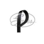 Courroie accessoire gates 6 stries longueur 975 mm