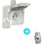 Pack legrand prise green up - 090471 + disjoncteur différentiel 410754 Pack legrand prise green up - 090471 + disjoncteur différentiel 410754
