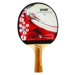 Raquette ping pong 2 etoiles Raquette ping pong 2 etoiles