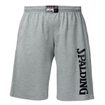 Spalding team short - chin�gris / noir