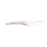 Brushworks accessoires visage incurve