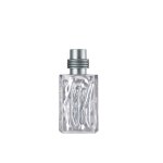 Cerruti - 1881 silver eau de toilette 50 ml male