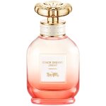 Coach - dreams sunset eau de parfum 40 ml female