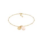 Elli - cercle coquillage kauri maritime ajustable bracelet de cheville femme - (925 / 1000) argent chaînes ... Elli - cercle coquillage kauri maritime ajustable bracelet de cheville femme - (925 / 1000) argent chaînes ...