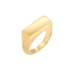 Elli - chevalire mat rectangle geo bague femme plaqu or argent (925 / 1000) bagues 1 pieces female